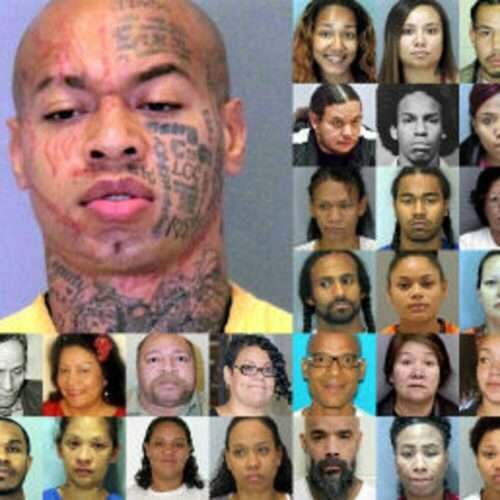 nikko jenkins family