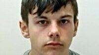 levi westhead
