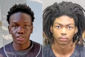 Jacori Redding Pinien Dalmacy